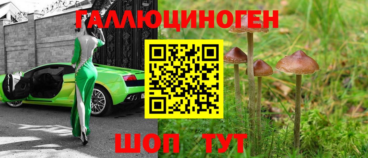 Псилоцибиновые грибы мицелий  Галлюциногенные грибы GOLDEN TEACHER  Вход с VPN  Новокубанск 