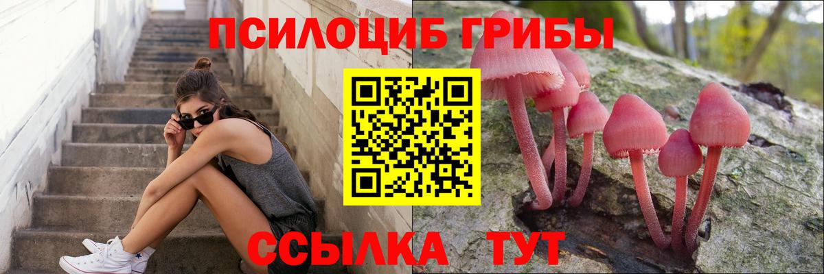 Галлюциногенные грибы прущие грибы Новокубанск